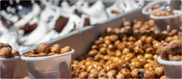 Concentration of Antinutrients and Chemical Properties of Tiger Nut Oil