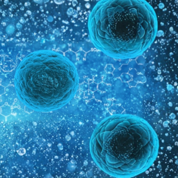 Właściwości przeciwwirusowe mleka z tiger nut przeciwko wirusom otoczkowym